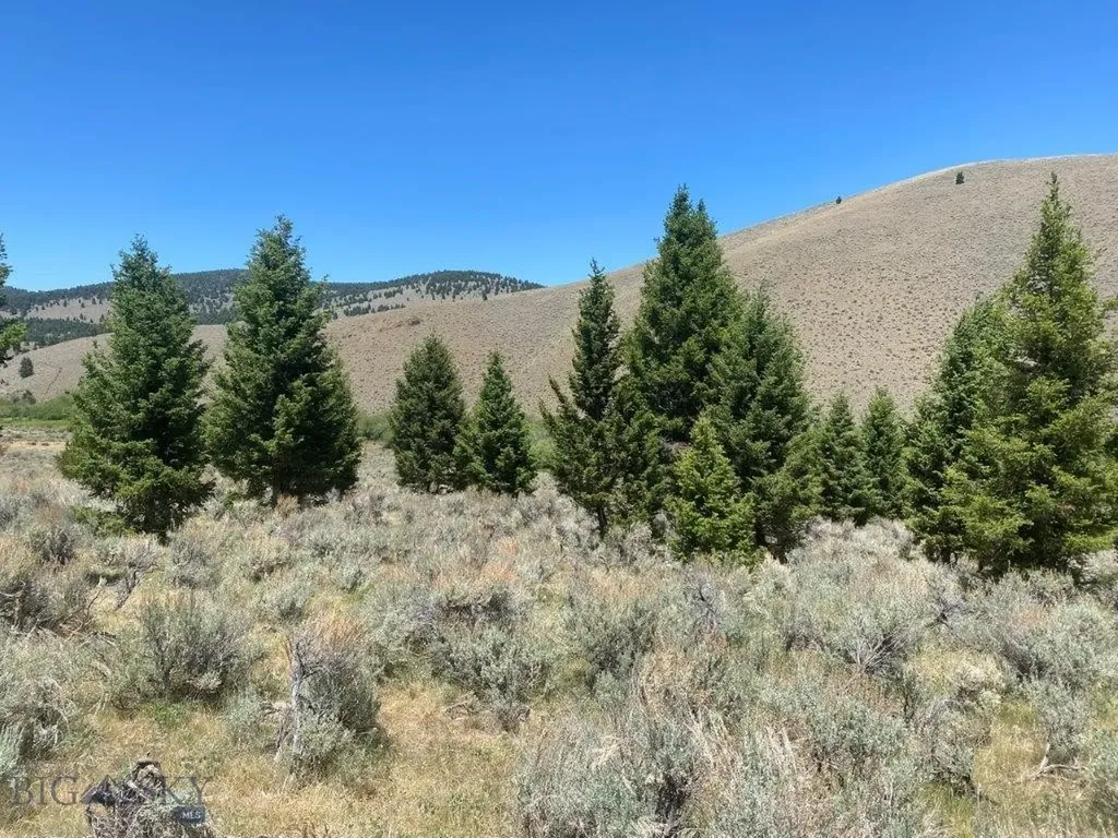 Tbd Camp Creek Road Butte MT 59701