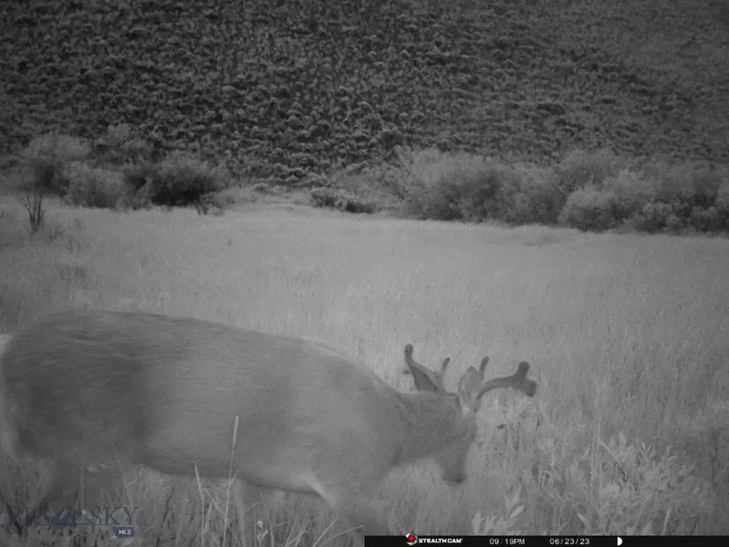 Tbd Camp Creek Road Butte MT 59701