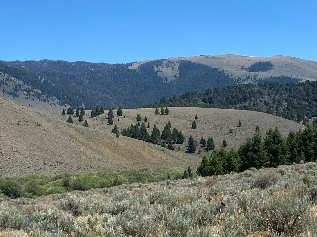 Tbd Camp Creek Road Butte MT 59701