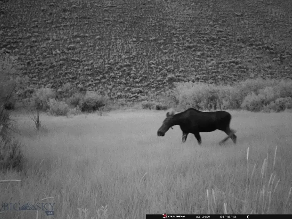 Tbd Camp Creek Road Butte MT 59701