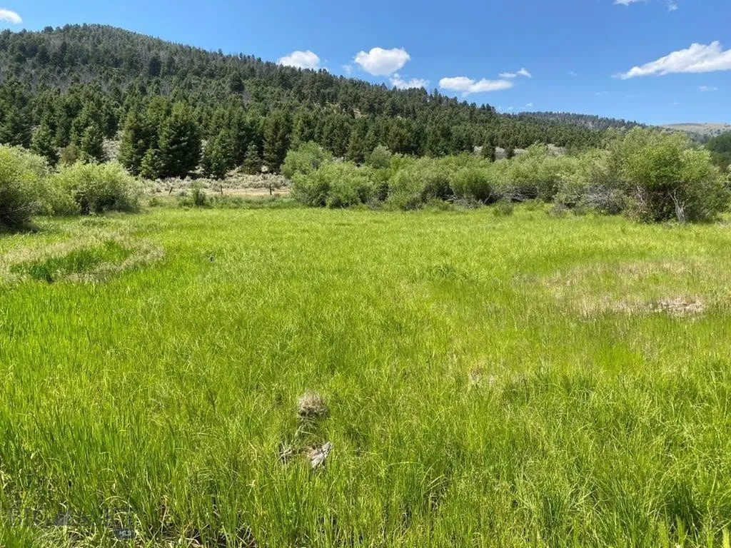 Tbd Camp Creek Road Butte MT 59701