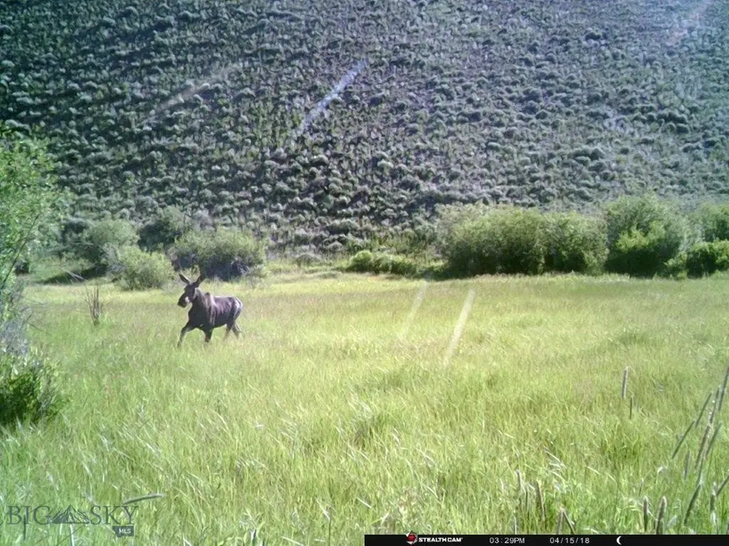 Tbd Camp Creek Road Butte MT 59701