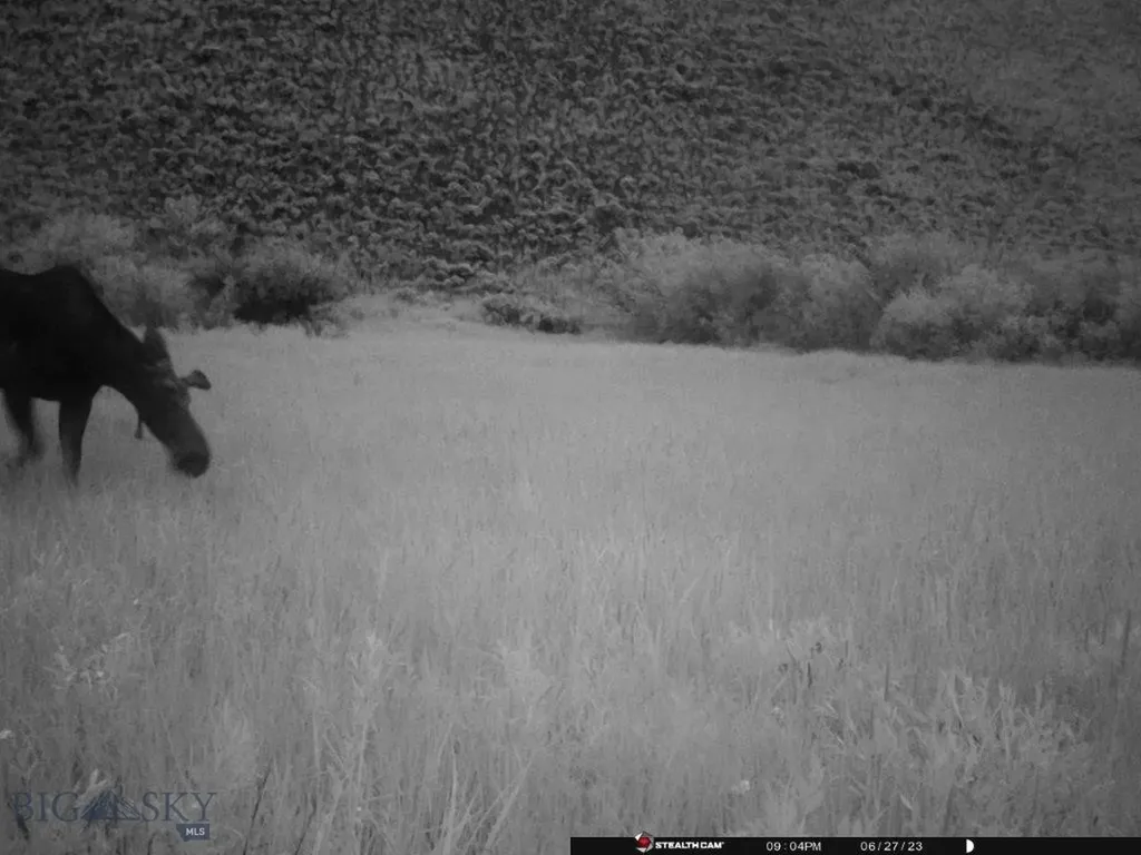 Tbd Camp Creek Road Butte MT 59701