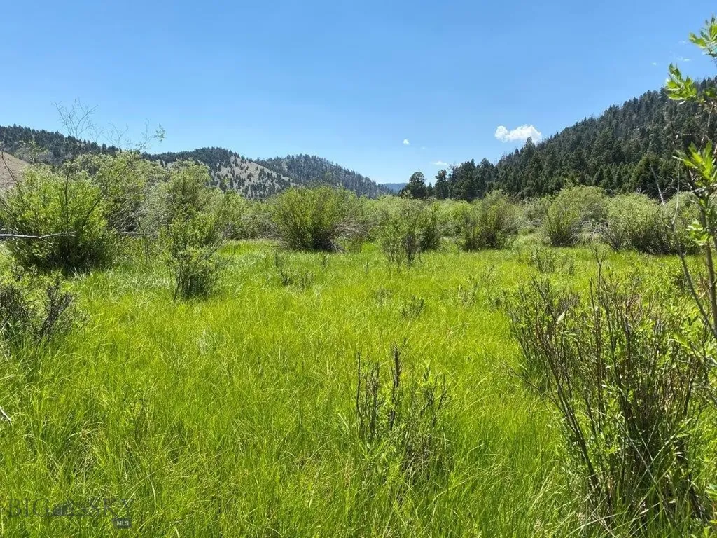 Tbd Camp Creek Road Butte MT 59701