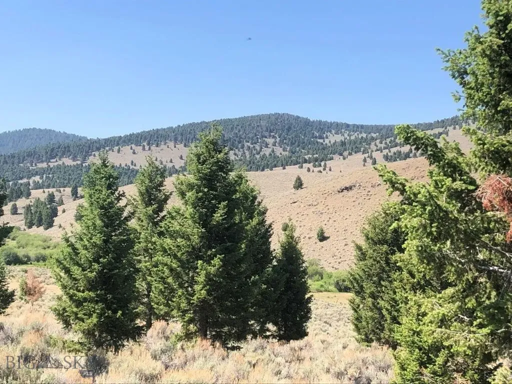 Tbd Camp Creek Road Butte MT 59701