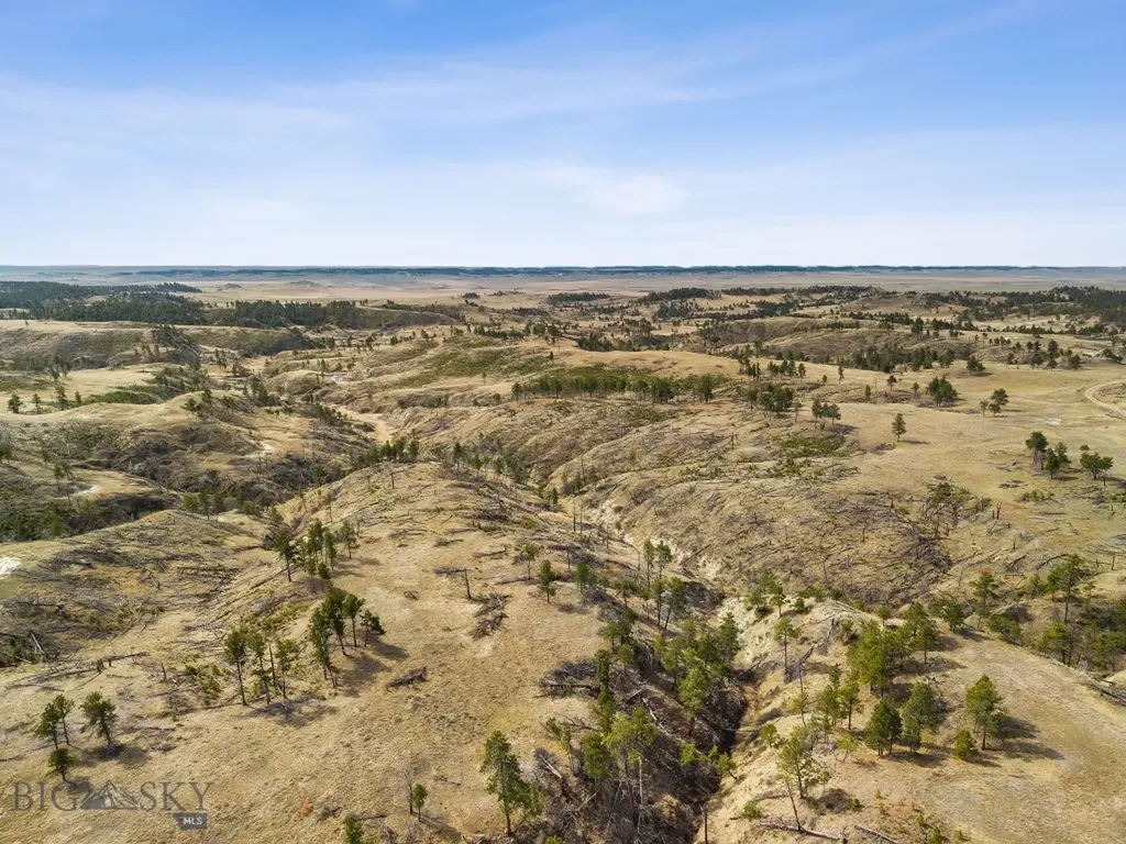 2168 Trophy Ridge Roy MT 59471