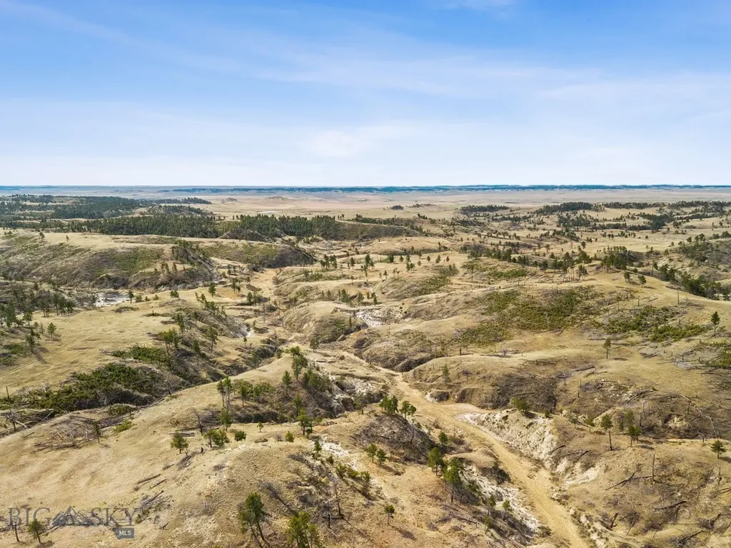 2168 Trophy Ridge Roy MT 59471
