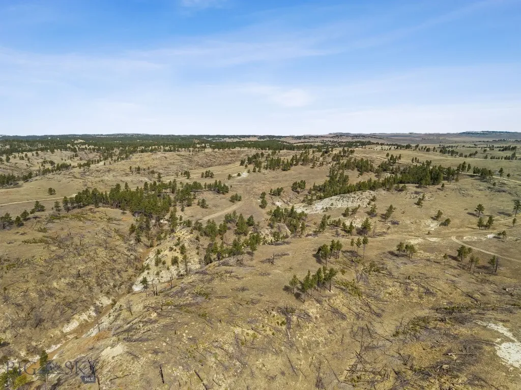 2168 Trophy Ridge Roy MT 59471