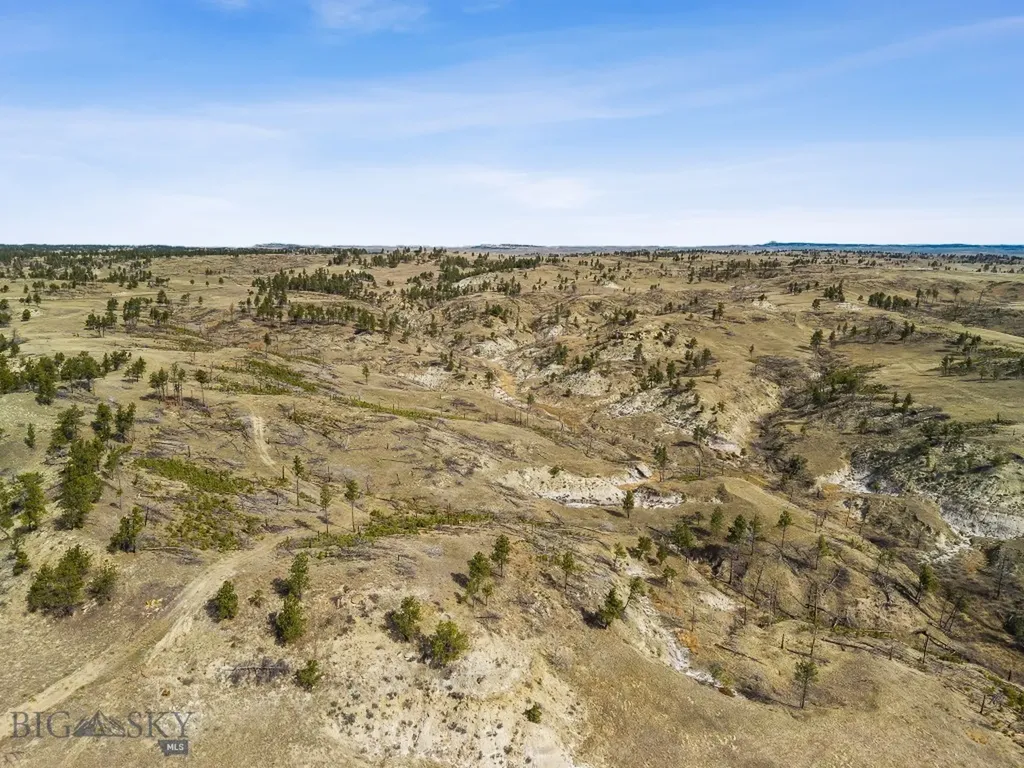 2168 Trophy Ridge Roy MT 59471