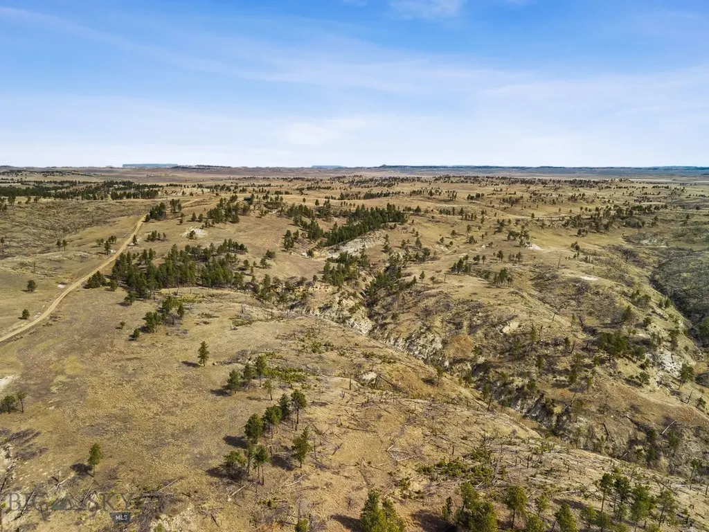 2168 Trophy Ridge Roy MT 59471