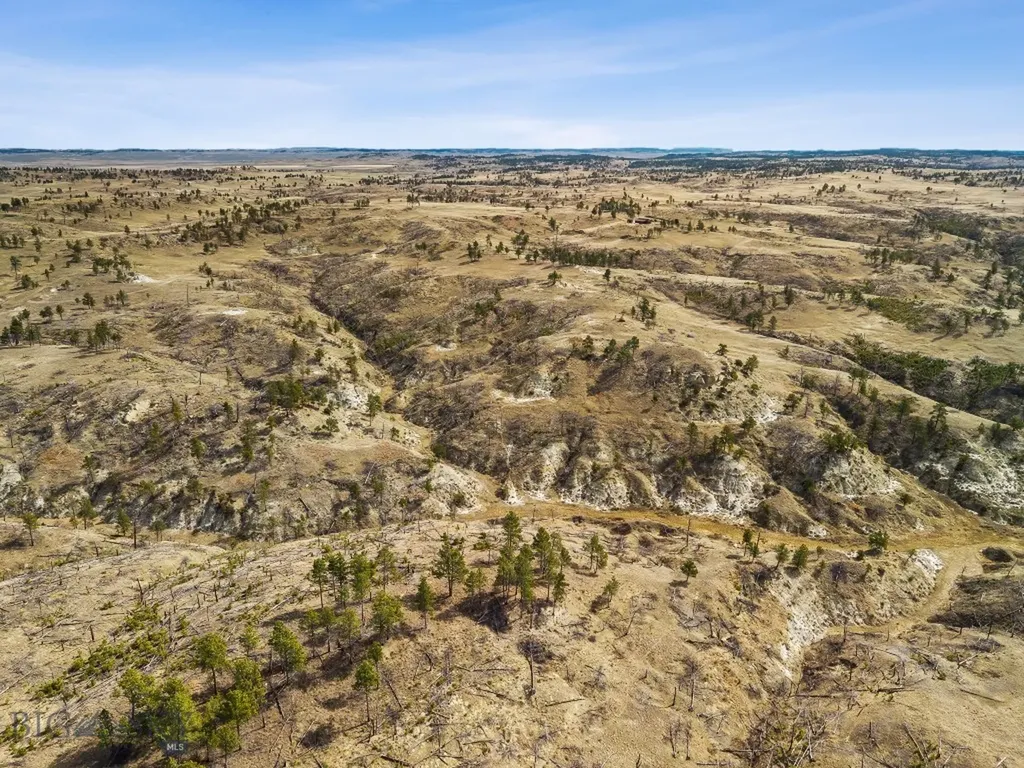 2168 Trophy Ridge Roy MT 59471