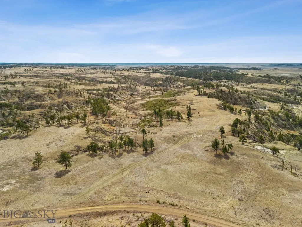2168 Trophy Ridge Roy MT 59471