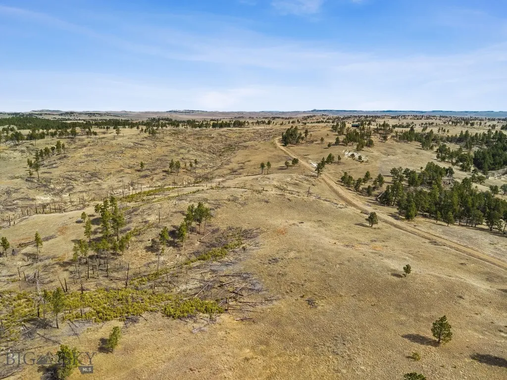 2168 Trophy Ridge Roy MT 59471