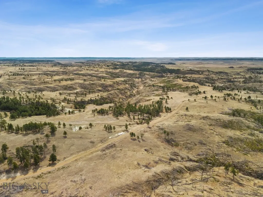 2168 Trophy Ridge Roy MT 59471
