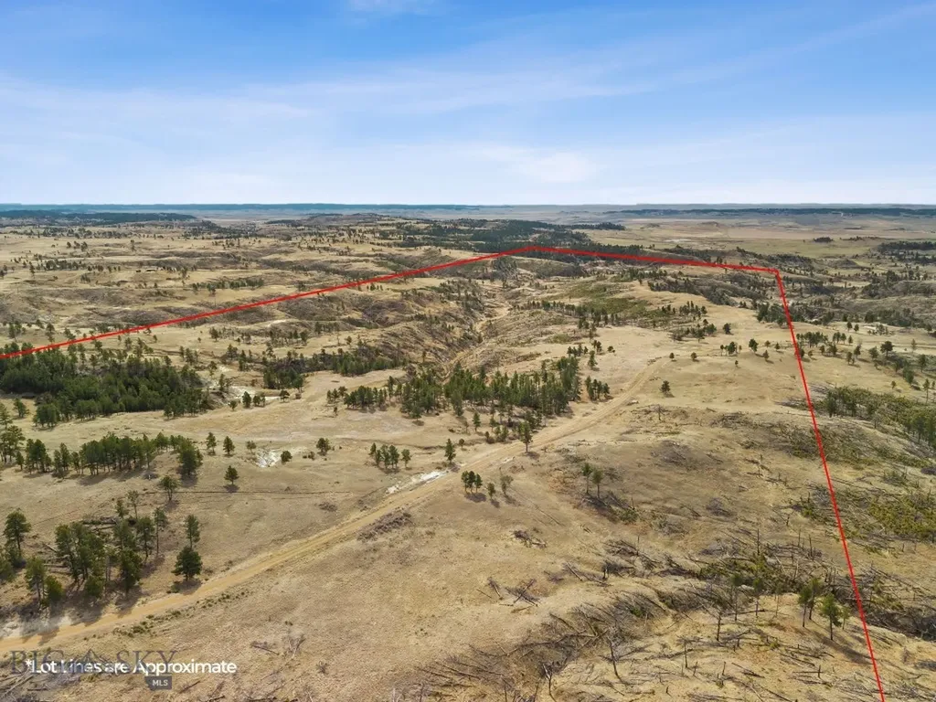 2168 Trophy Ridge Roy MT 59471