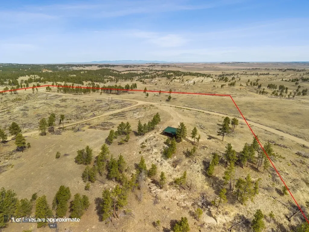 2168 Trophy Ridge Roy MT 59471