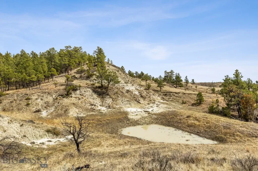 2168 Trophy Ridge Roy MT 59471