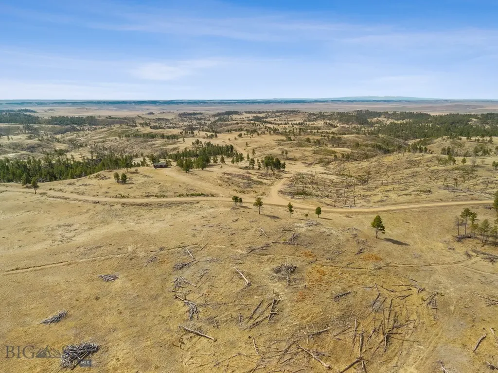 2168 Trophy Ridge Roy MT 59471