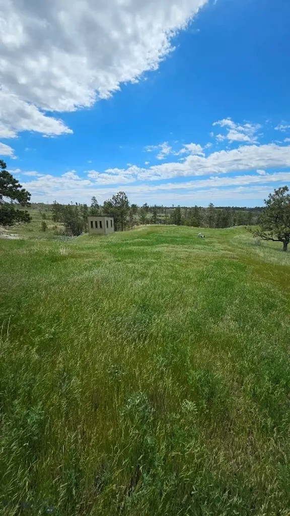 2168 Trophy Ridge Roy MT 59471