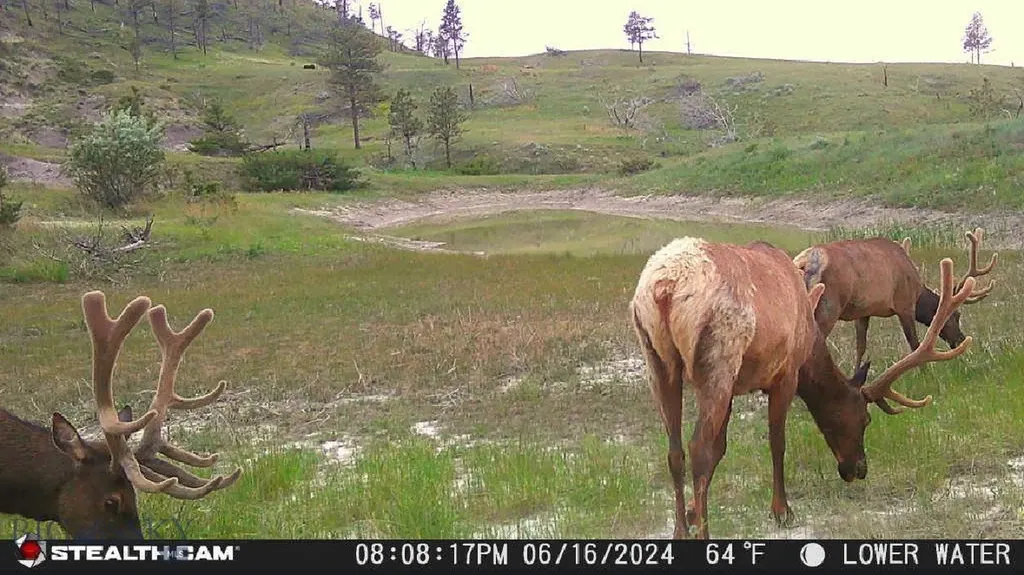 2168 Trophy Ridge Roy MT 59471