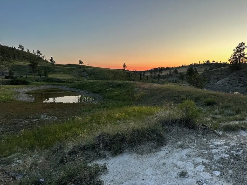 2168 Trophy Ridge Roy MT 59471
