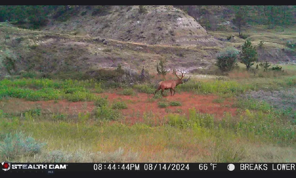 2168 Trophy Ridge Roy MT 59471