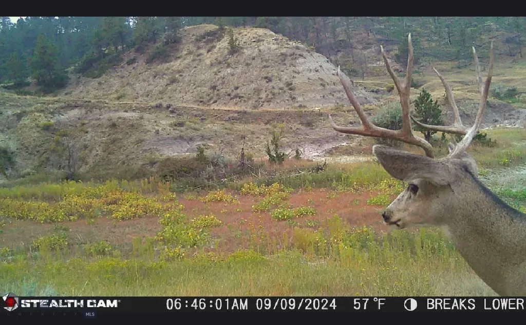2168 Trophy Ridge Roy MT 59471