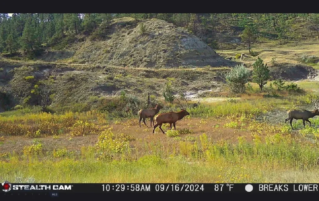 2168 Trophy Ridge Roy MT 59471