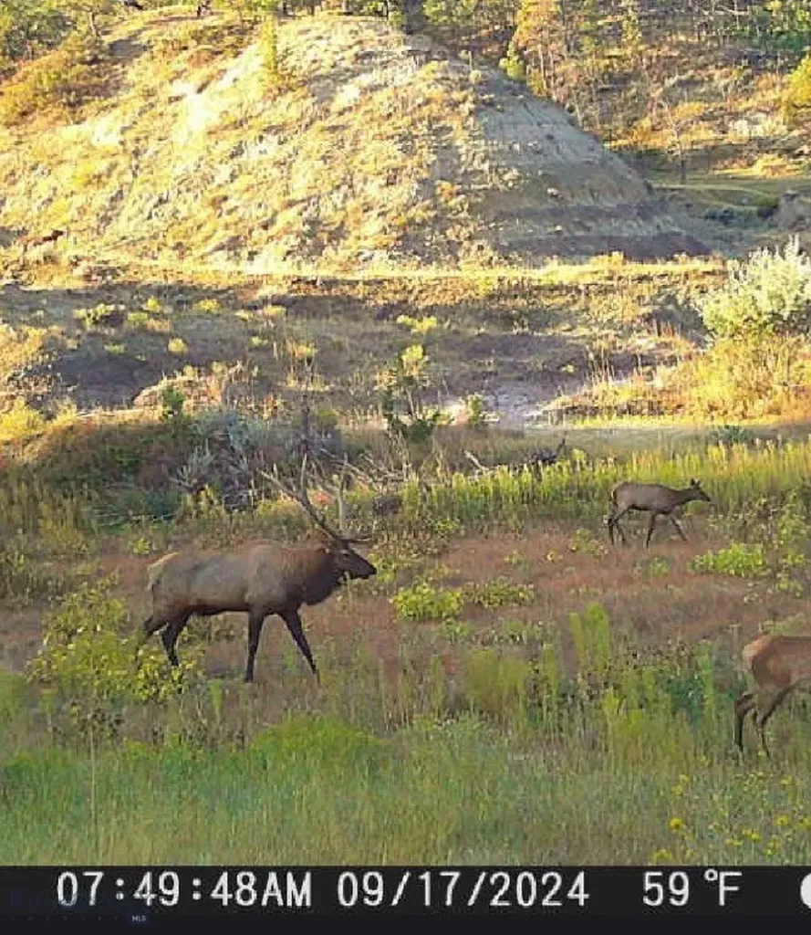 2168 Trophy Ridge Roy MT 59471