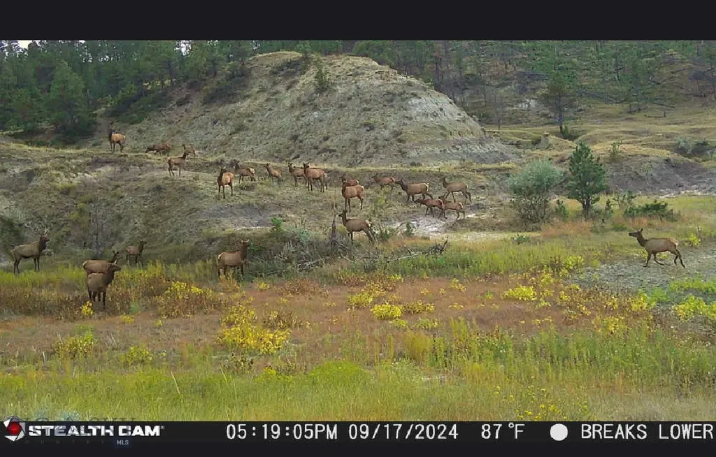 2168 Trophy Ridge Roy MT 59471