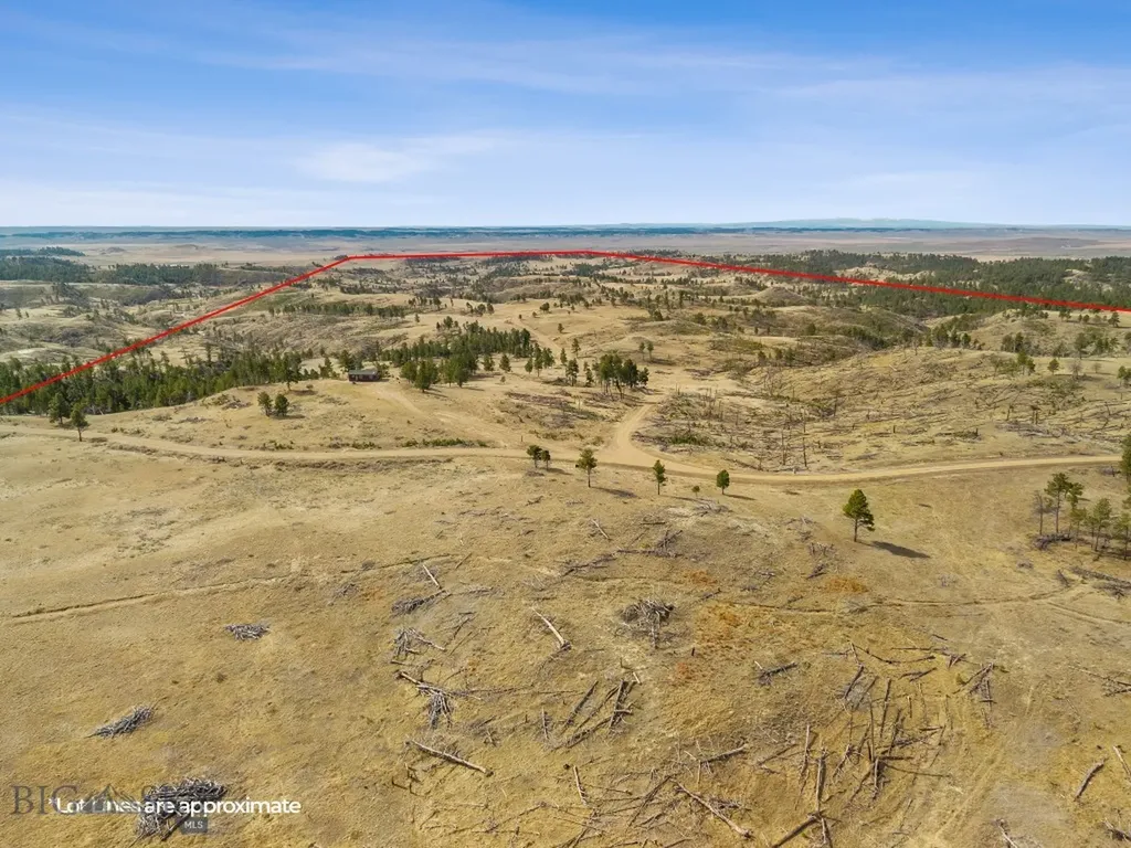 2168 Trophy Ridge Roy MT 59471
