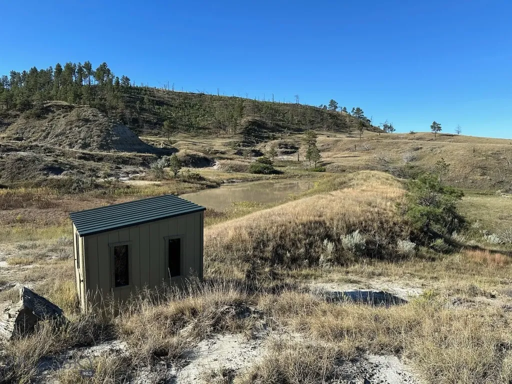 2168 Trophy Ridge Roy MT 59471