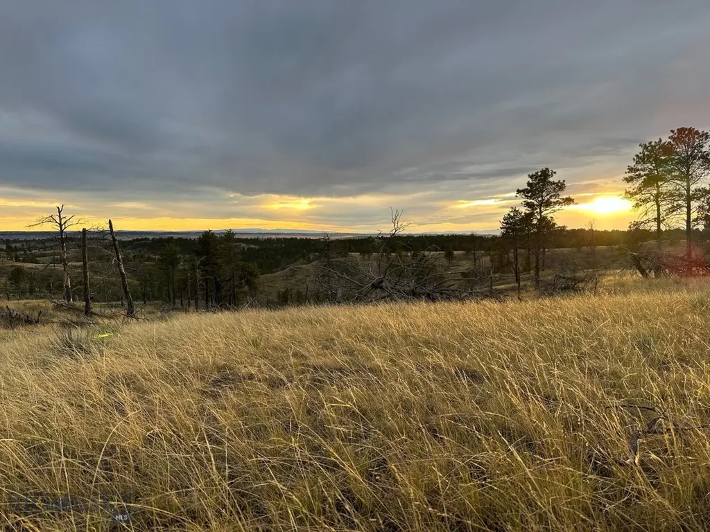 2168 Trophy Ridge Roy MT 59471