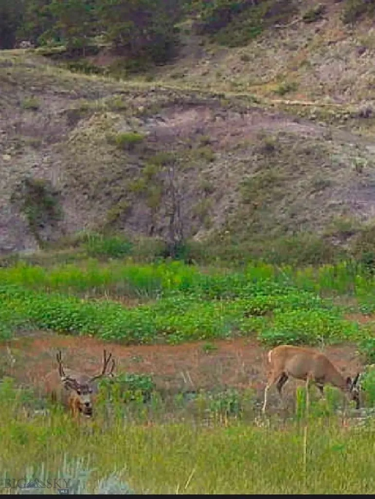 2168 Trophy Ridge Roy MT 59471