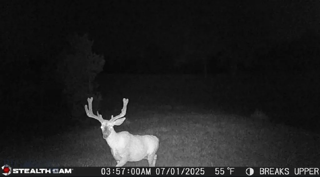 2168 Trophy Ridge Roy MT 59471