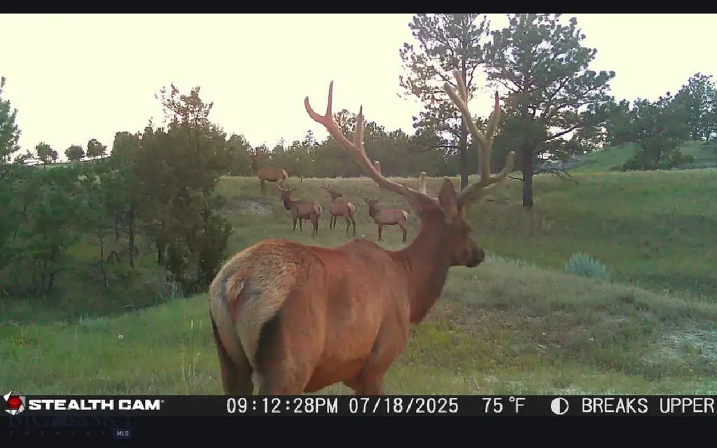 2168 Trophy Ridge Roy MT 59471