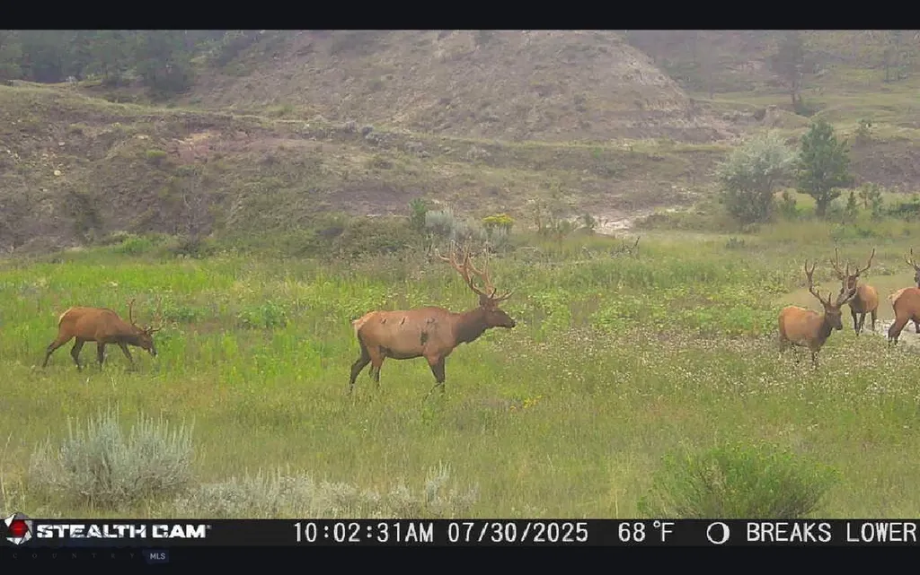 2168 Trophy Ridge Roy MT 59471