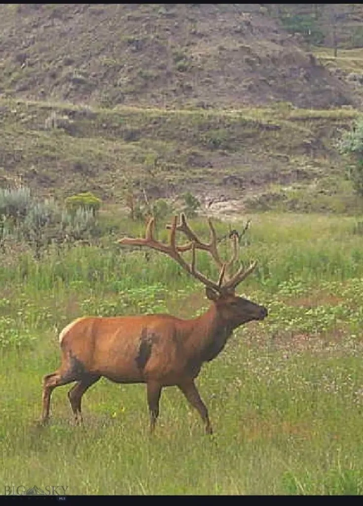 2168 Trophy Ridge Roy MT 59471