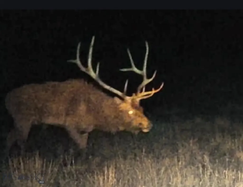 2168 Trophy Ridge Roy MT 59471