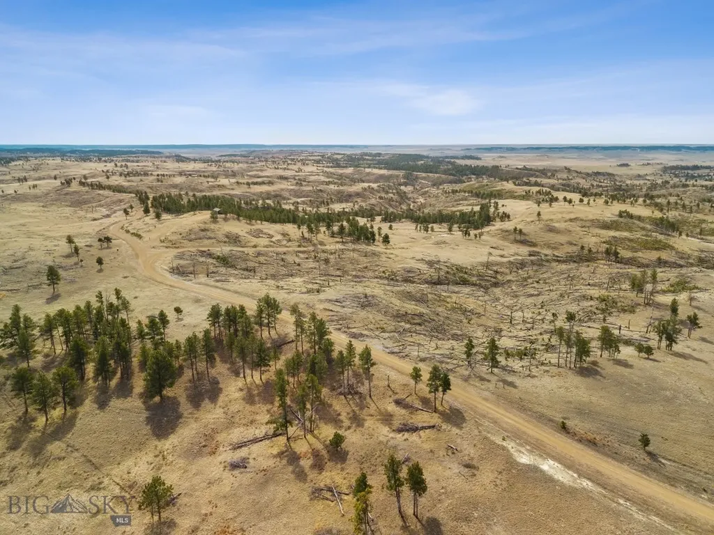 2168 Trophy Ridge Roy MT 59471
