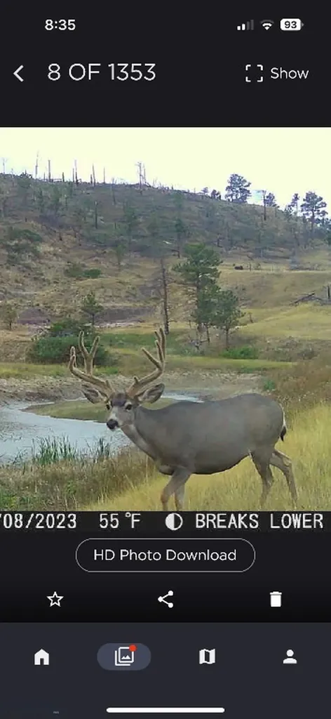 2168 Trophy Ridge Roy MT 59471