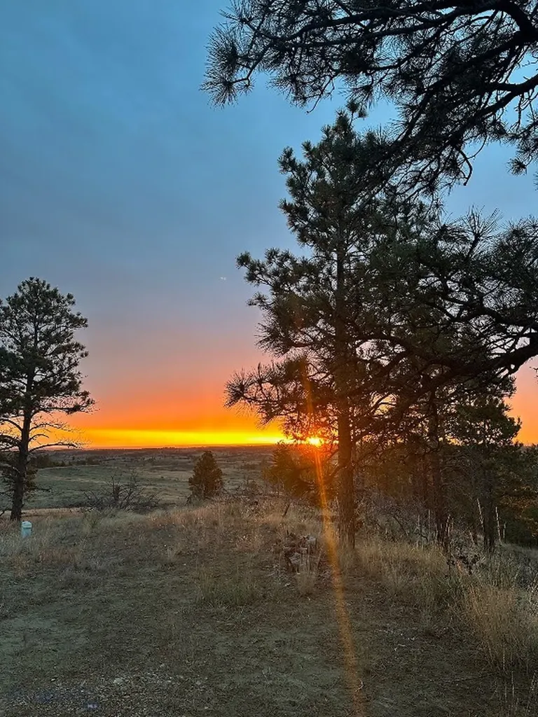 2168 Trophy Ridge Roy MT 59471