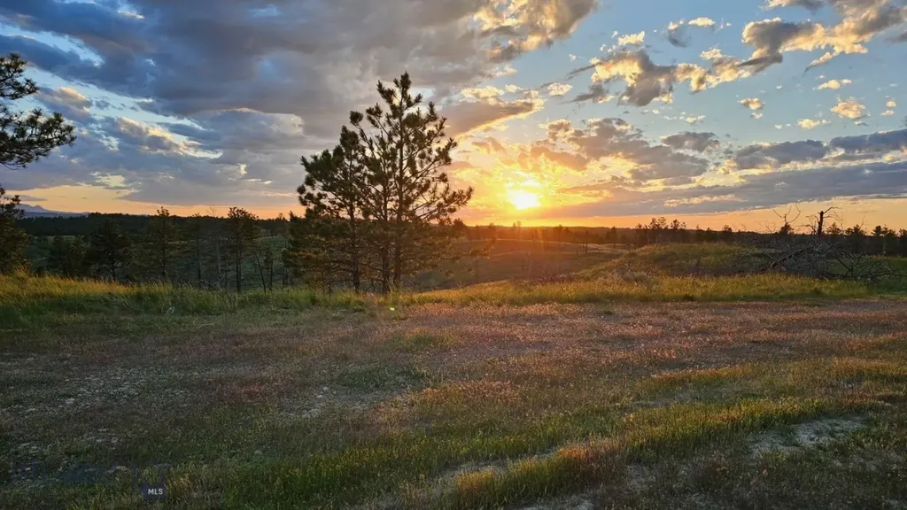 2168 Trophy Ridge Roy MT 59471