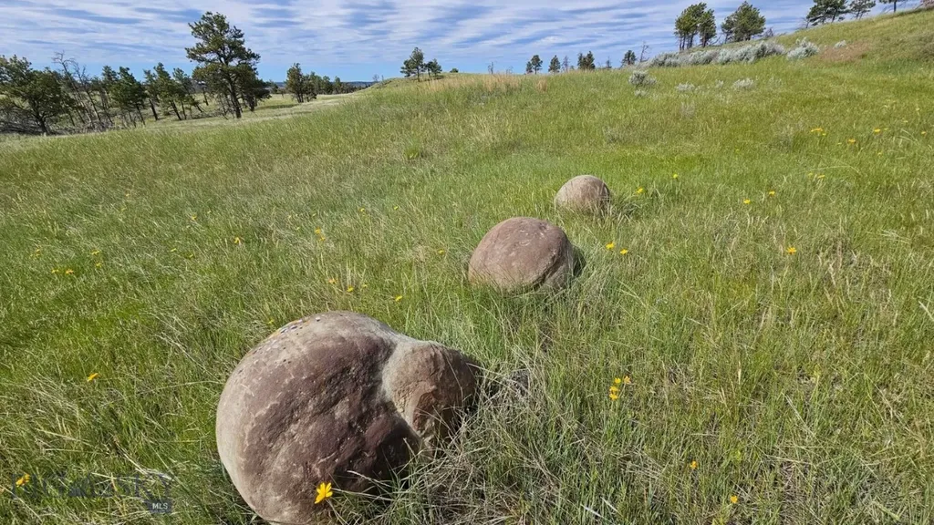 2168 Trophy Ridge Roy MT 59471