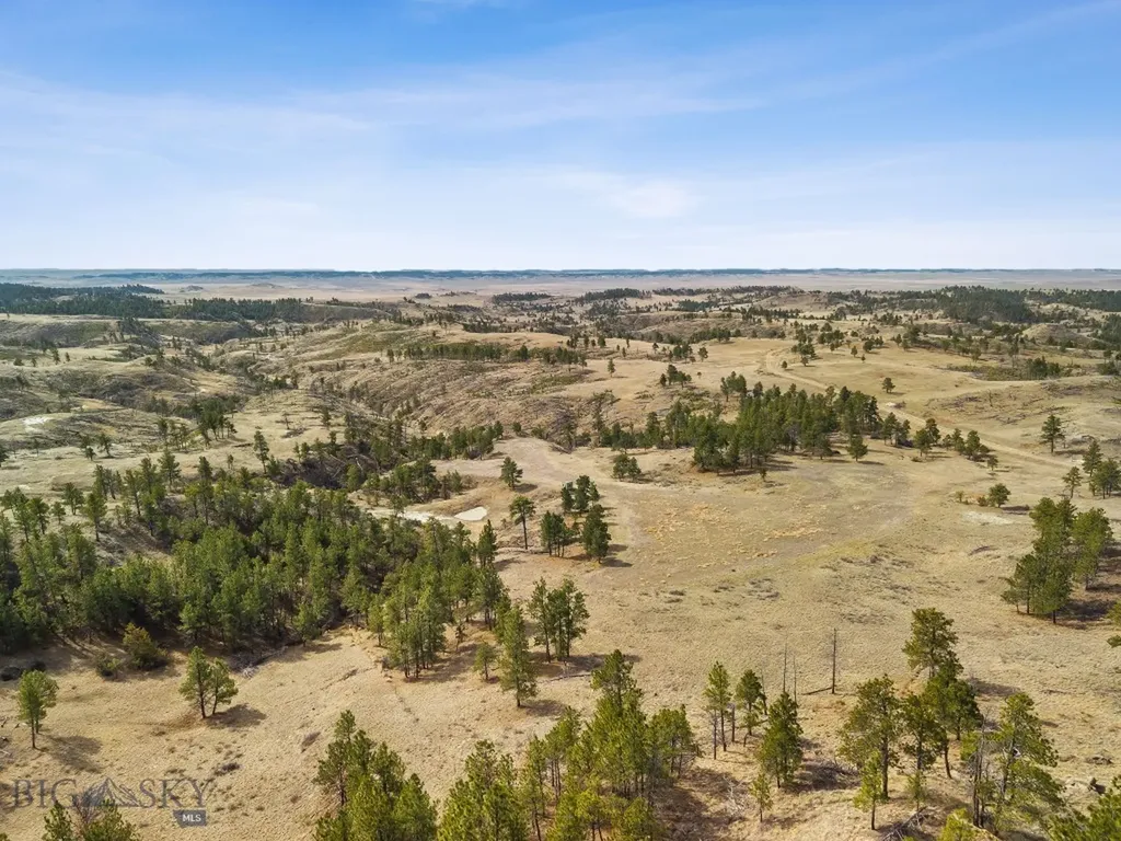 2168 Trophy Ridge Roy MT 59471