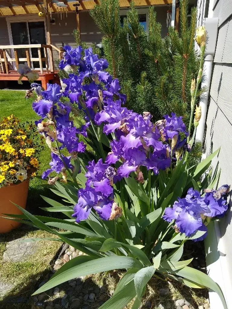 516 Circle F Trail Bozeman MT 59718