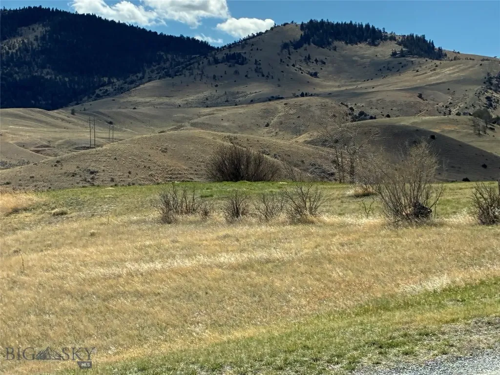 Cardwell MT 59721