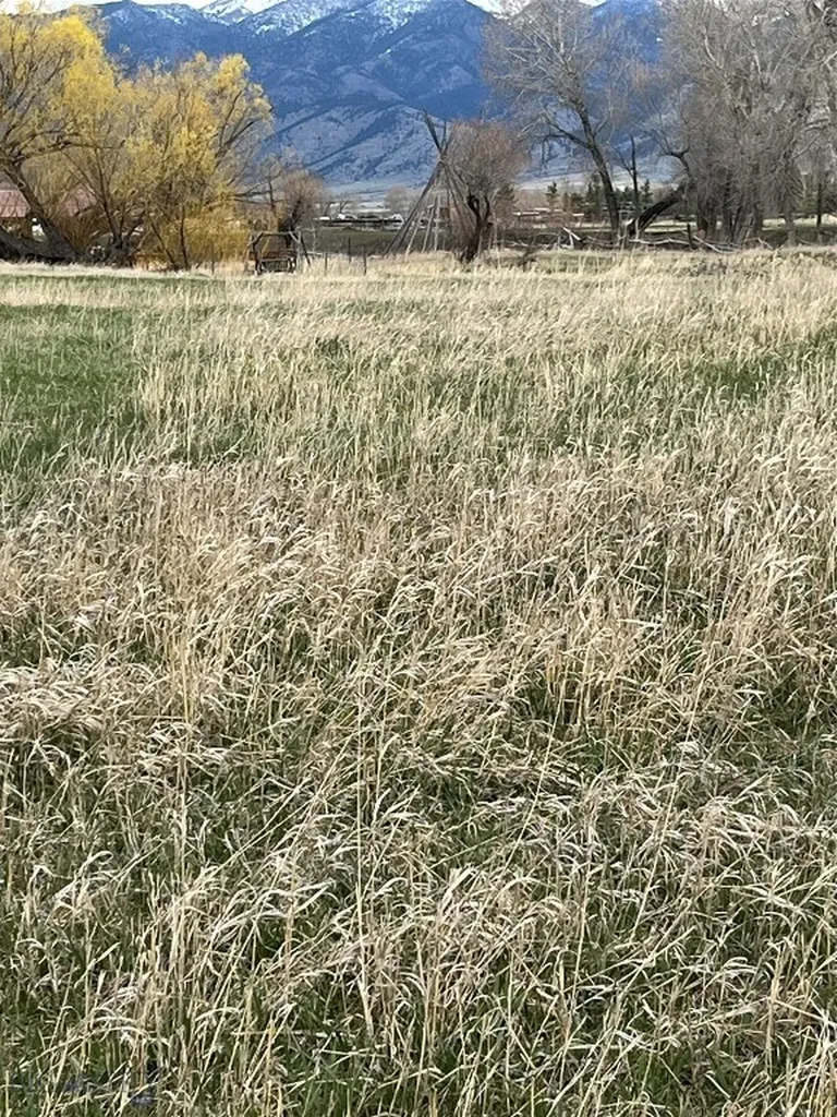 7056 E Baseline Belgrade MT 59714
