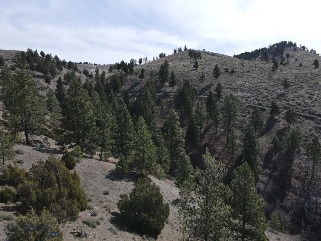 55 Upper Ross Gulch Townsend MT 59644