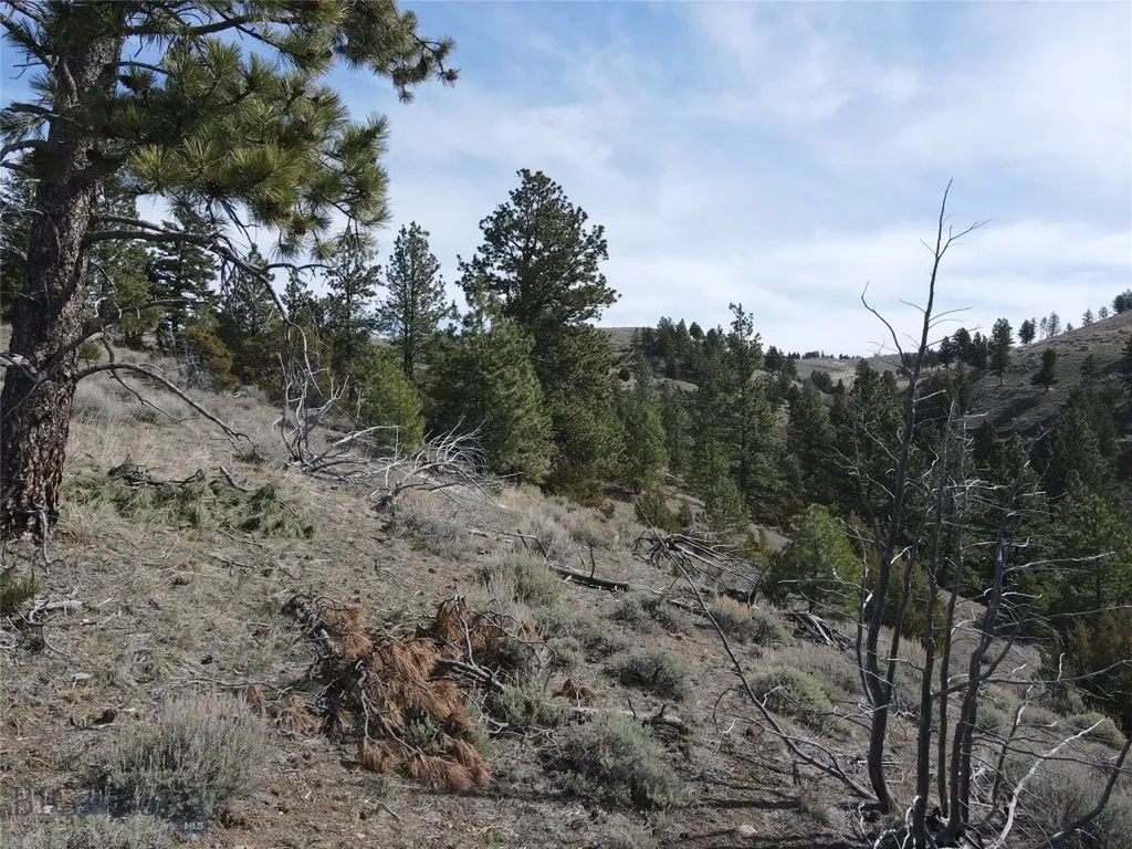 55 Upper Ross Gulch Townsend MT 59644